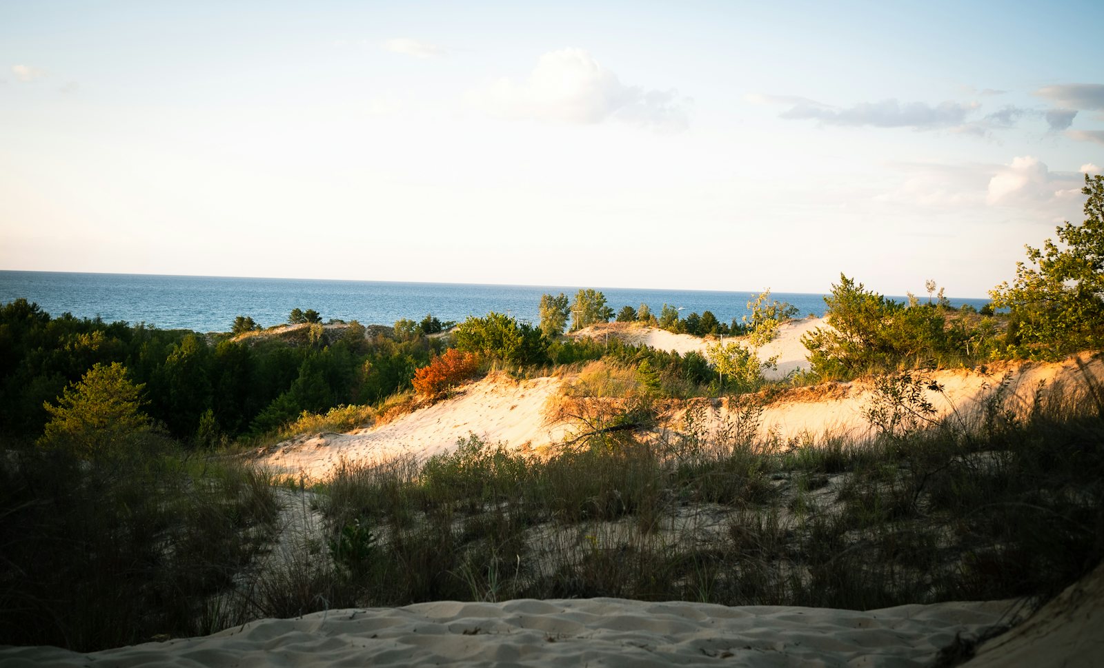 Beach Indiana Dunes