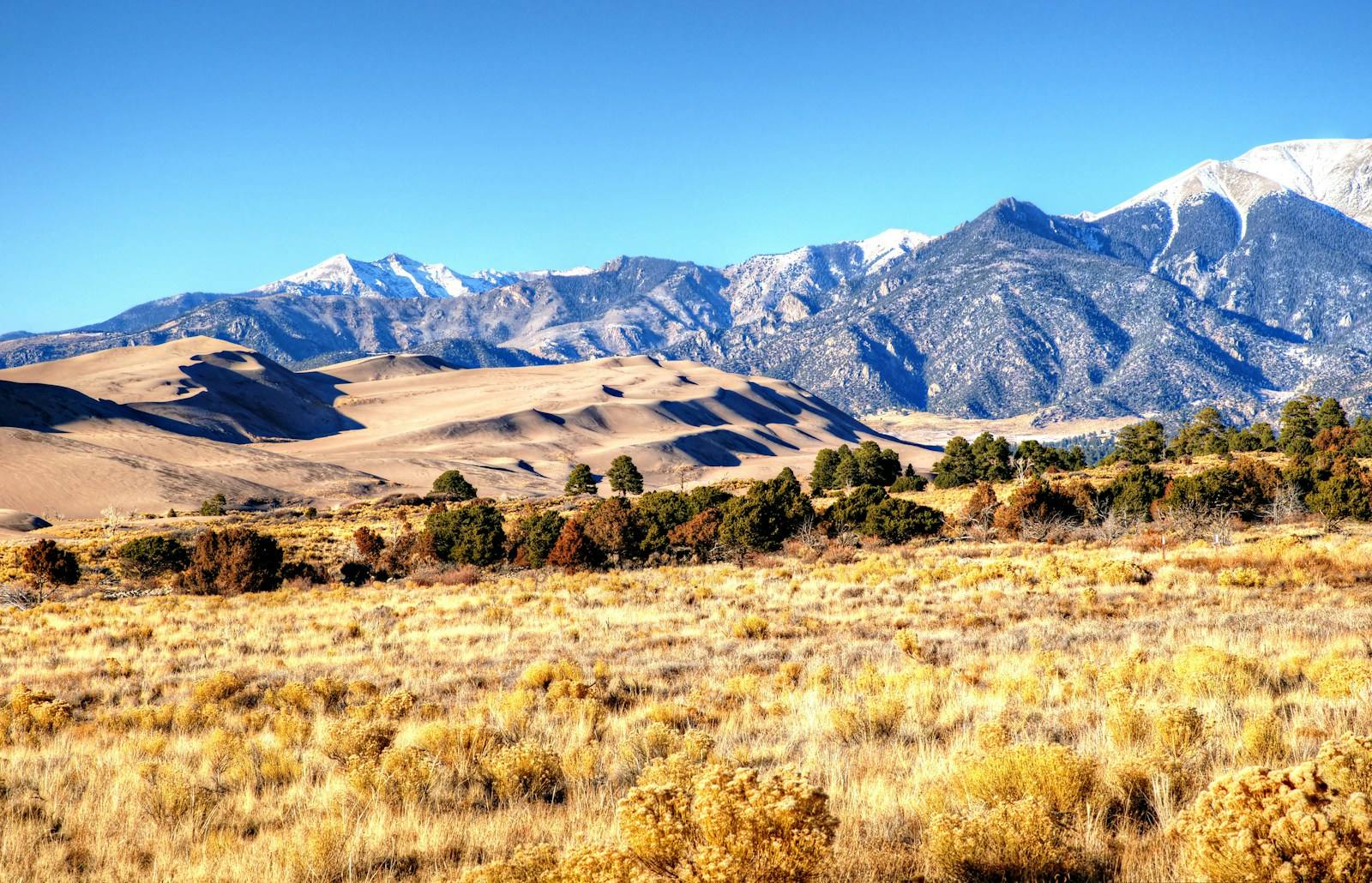 Great Sand Dunes Afternoon Mountains and Shadows. At Colorado's Great Sand Dunes National Park blue skies and mountains form a backdrop to d