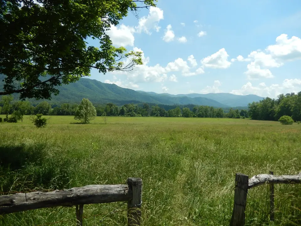 A green meadow with a split-rail fence and wooded mountains behind in Cades Cove