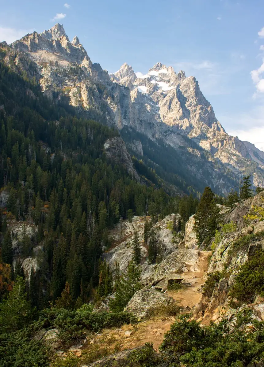 Trail through pine trees with jagged Teton peaks above