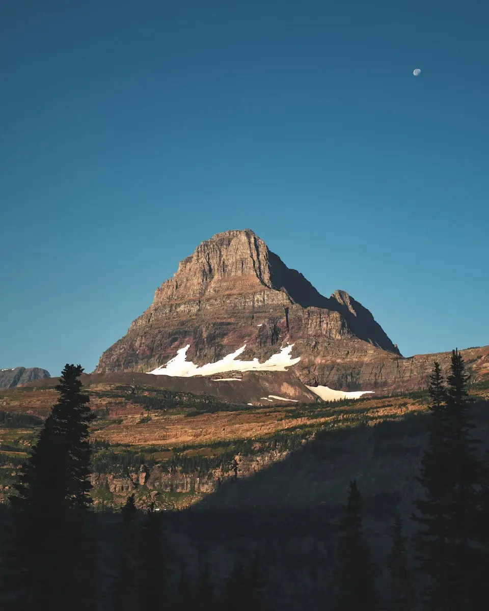A pointed mountain lit by evening sun above dark pines