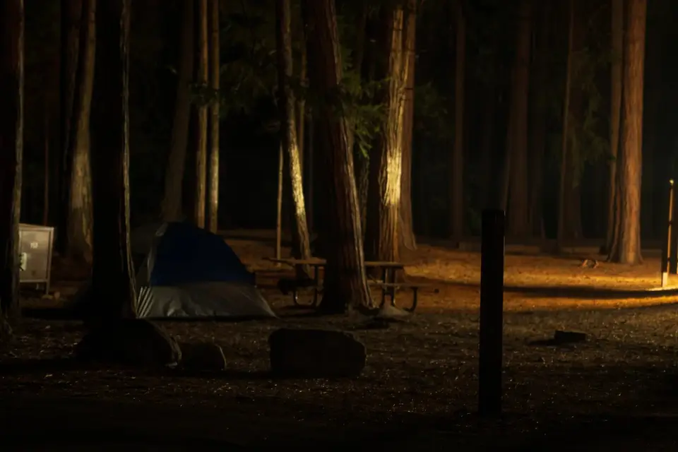 A blue tent lit from inside under tall pines at dusk