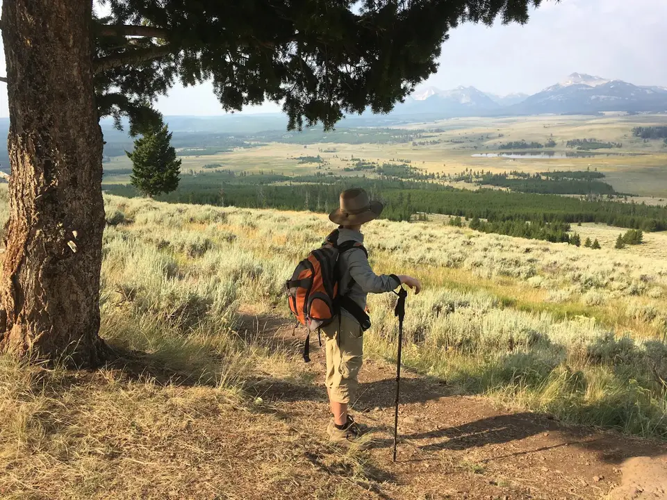 A hiker with trekking poles standing in a grassy meadow with mountains behind
