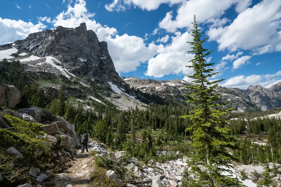 Green alpine meadow and forest below rocky peaks