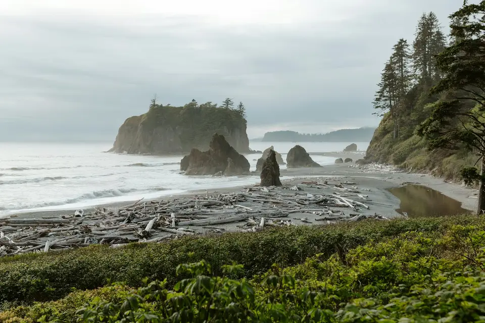 Misty morning at Ruby Beach, Olympic National Park