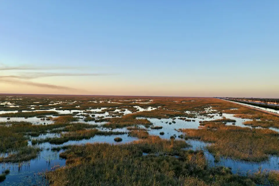 Expansive wetland landscape under a clear sky at dusk