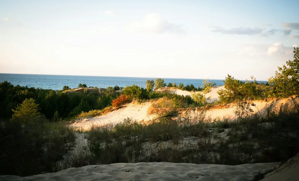 Beach Indiana Dunes