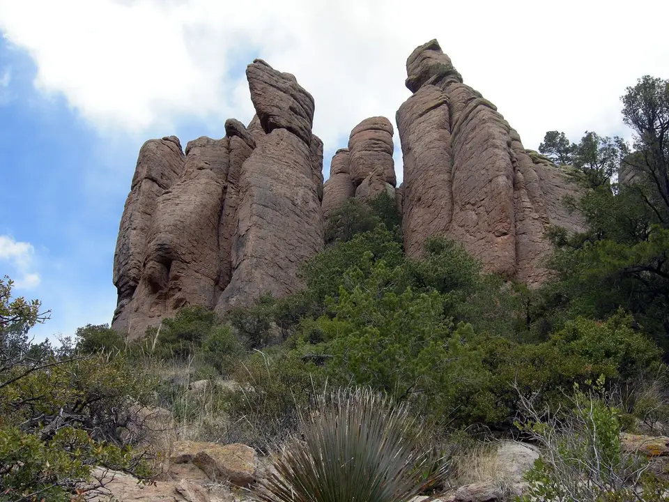 Rhyolite rock spires rising above green oak woodland in Chiricahua National Park