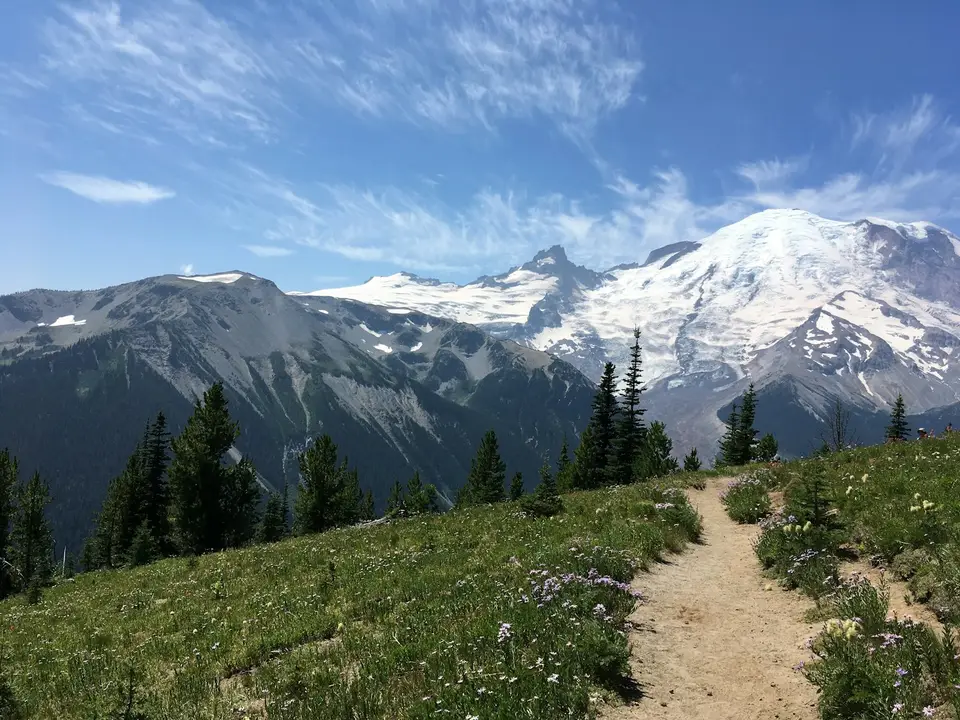 Trail toward Mount Rainier, Mount Rainier National Park