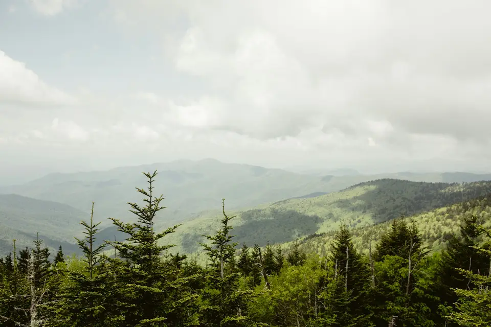 View over green ridges from Clingmans Dome